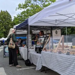 Deer Lake Farmers Market - Deer Lake