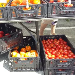 Deer Lake Farmers Market - Deer Lake