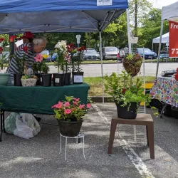 Deer Lake Farmers Market - Deer Lake