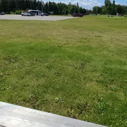 Deer Lake Golf Club - Deer Lake