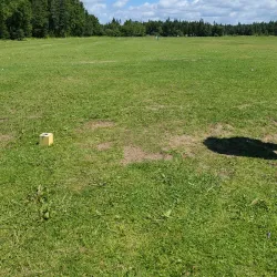 Deer Lake Golf Club - Deer Lake