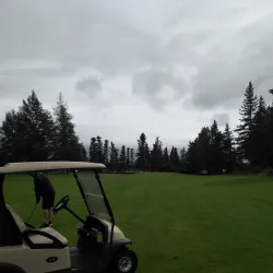 Deer Lake Golf Club - Deer Lake