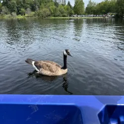 Deer Lake Marina - Deer Lake
