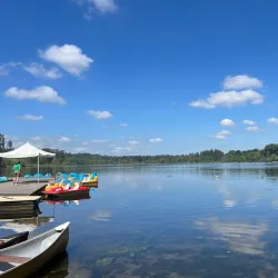 Deer Lake Marina - Deer Lake