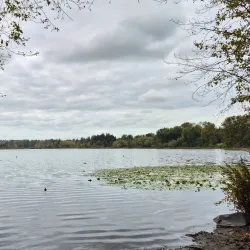 Deer Lake Marina - Deer Lake