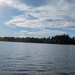 Deer Lake Marina - Deer Lake