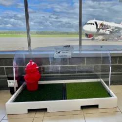 Deer Lake Regional Airport - Deer Lake