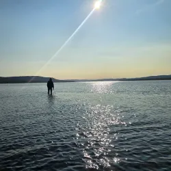 Deer Lake Town Park - Deer Lake