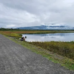 Western Brook Pond Fjord Tour - Deer Lake