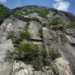 Western Brook Pond Fjord Tour - Deer Lake