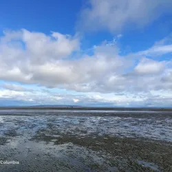 Boundary Bay Regional Park - Delta