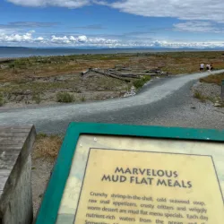 Boundary Bay Regional Park - Delta