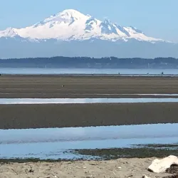 Boundary Bay Regional Park - Delta