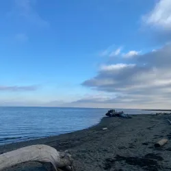 Boundary Bay Regional Park - Delta