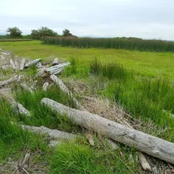 Boundary Bay Regional Park - Delta
