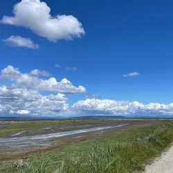 Boundary Bay Regional Park - Delta