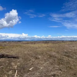 Boundary Bay Regional Park - Delta