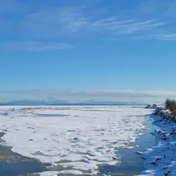 Centennial Beach - Delta