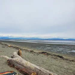 Centennial Beach - Delta