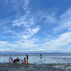 Centennial Beach - Delta