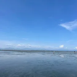 Centennial Beach - Delta