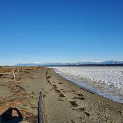 Centennial Beach - Delta