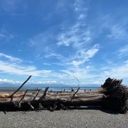 Centennial Beach - Delta