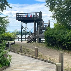 Deas Island Regional Park - Delta