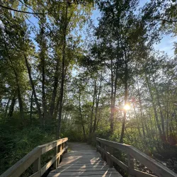 Deas Island Regional Park - Delta