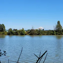 Deas Island Regional Park - Delta