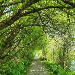 George C. Reifel Migratory Bird Sanctuary - Delta