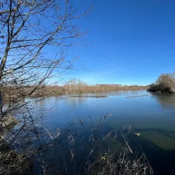 George C. Reifel Migratory Bird Sanctuary - Delta