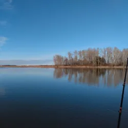 Ladner Harbour - Delta