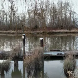 Ladner Harbour - Delta
