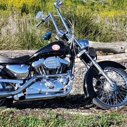 Ladner Village - Delta