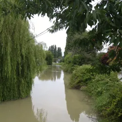 Ladner Village - Delta