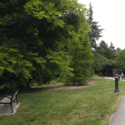 Ladner Village - Delta