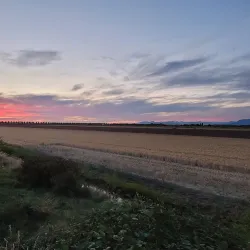 Ladner Village - Delta
