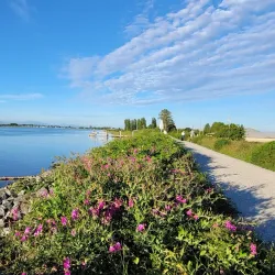 Ladner Village - Delta