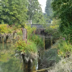 Ladner Village - Delta