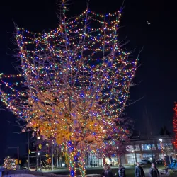 North Delta Recreation Centre - Delta