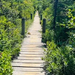 Balancing Rock - Digby