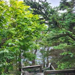 Balancing Rock - Digby