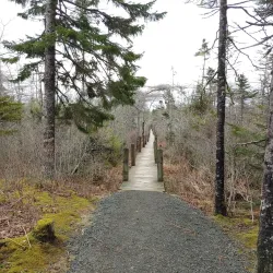 Balancing Rock - Digby