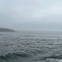 Digby Neck and Islands - Digby