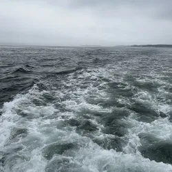 Digby Neck and Islands - Digby