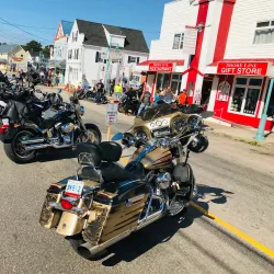 Wharf Rat Rally - Digby