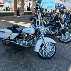 Wharf Rat Rally - Digby