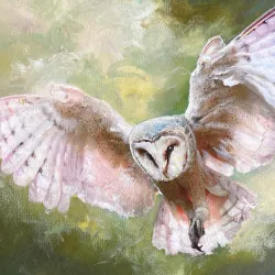 Dorset Art Gallery - Dorset