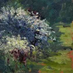 Dorset Art Gallery - Dorset